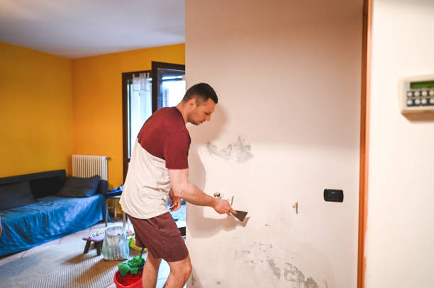 Attic Mold Removal in Mediapolis, IA
